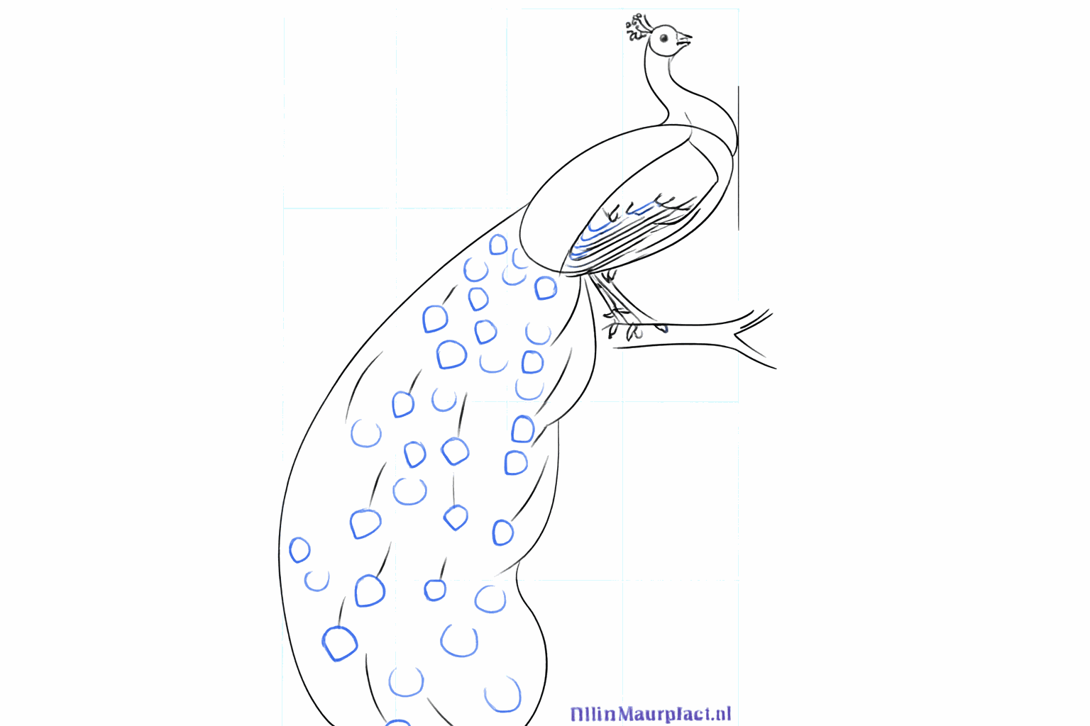 Drawing the peacock feather crown and a sturdy branch.