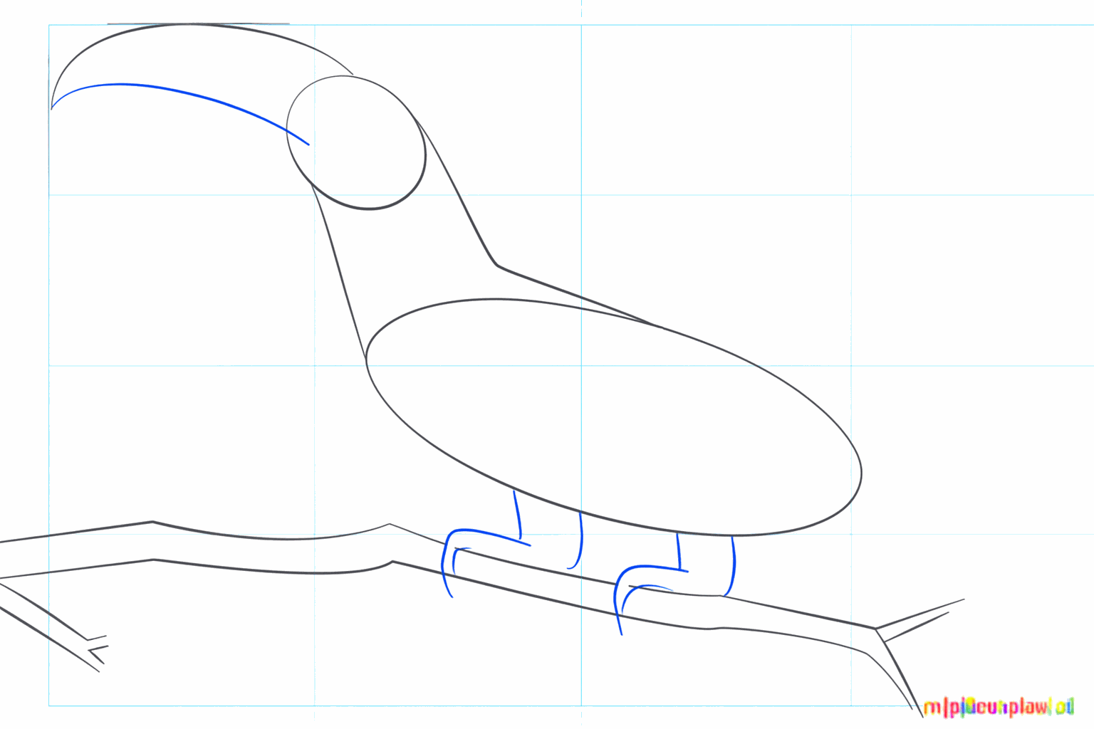 A large curved shape for the toucan's beak on the head.