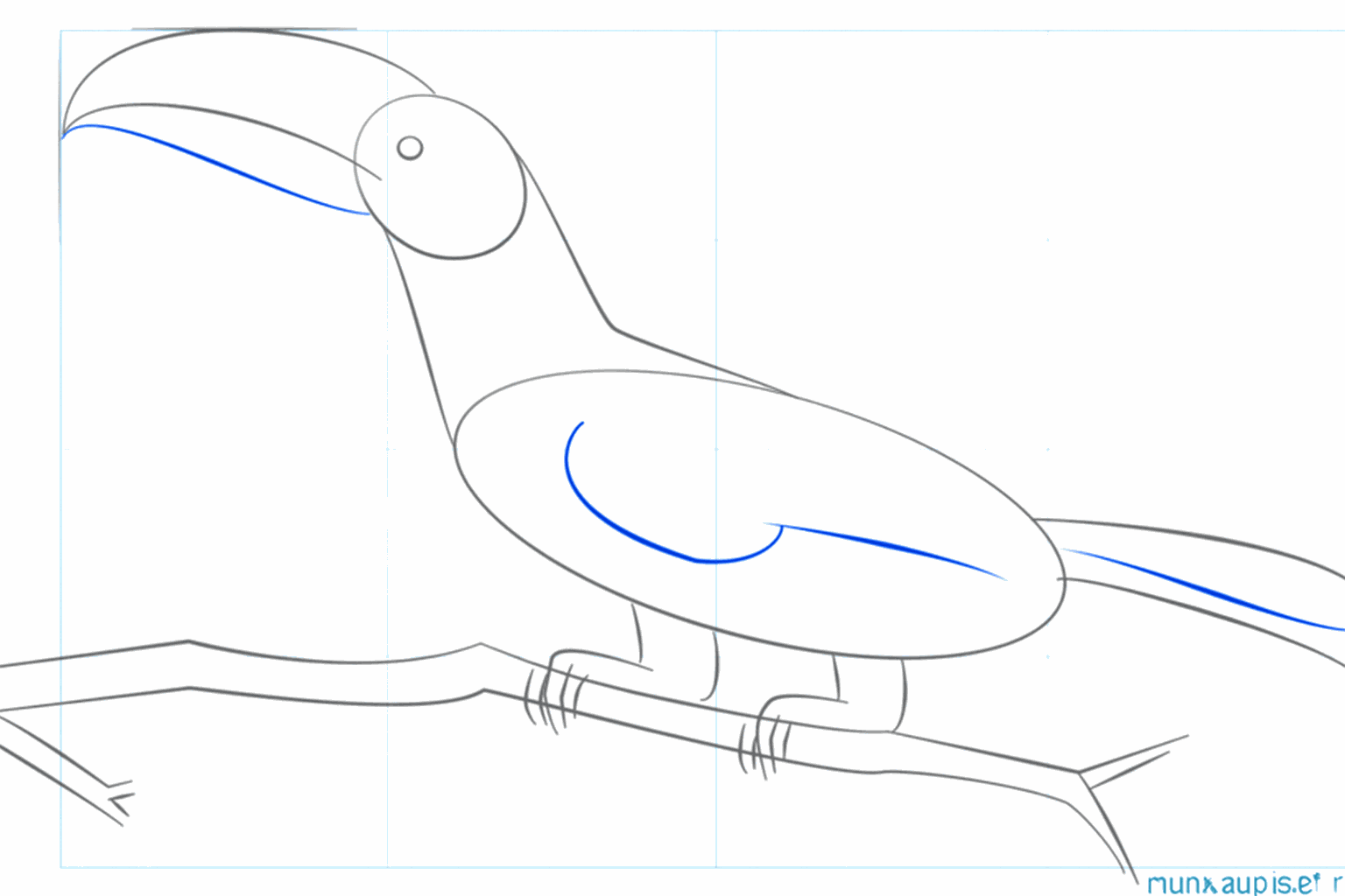 A small round eye in the head and a thicker tree branch under the bird.