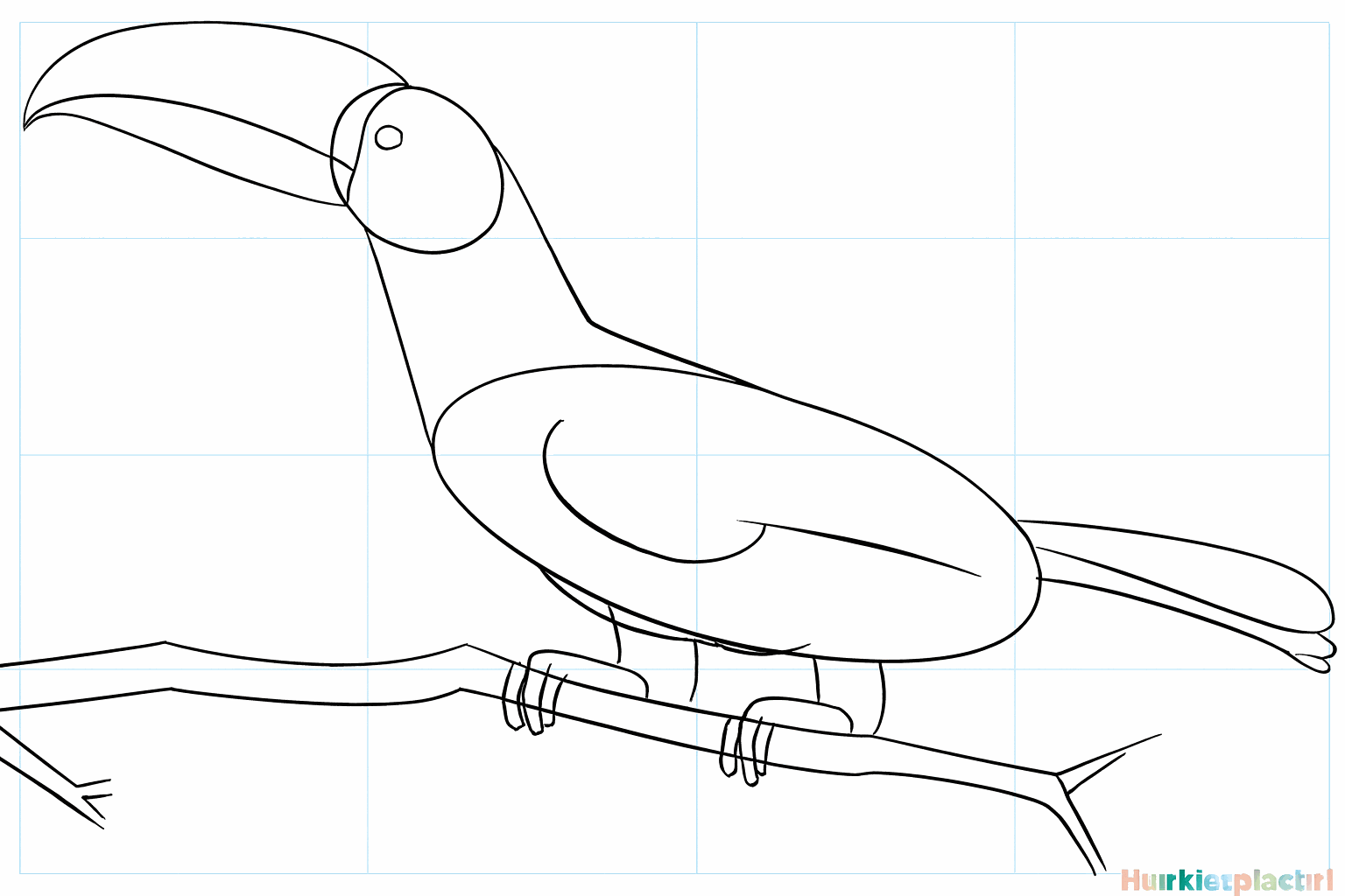 The bottom of the beak and the shape of a wing on the body.