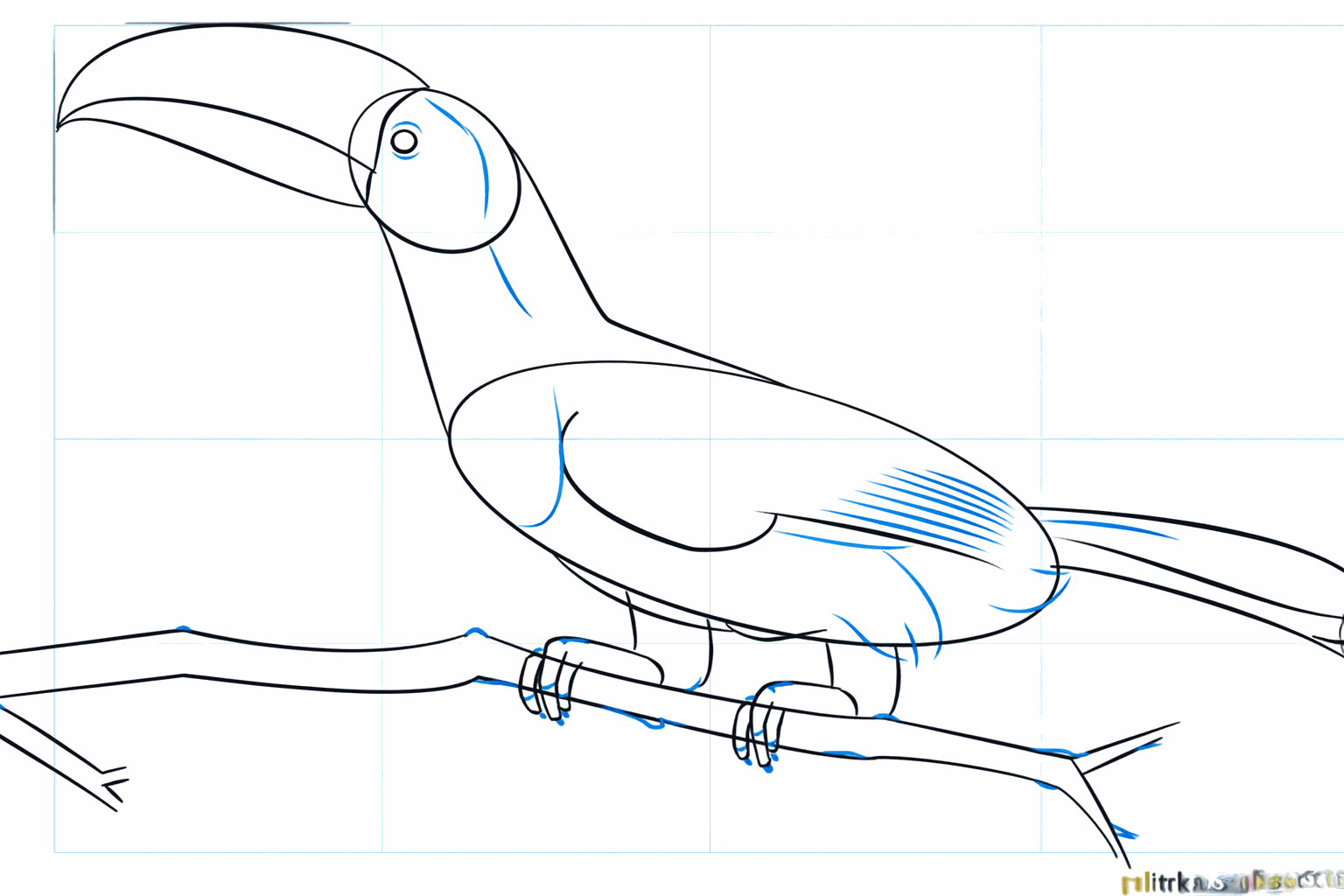 Drawn legs with toes clamping around the branch.