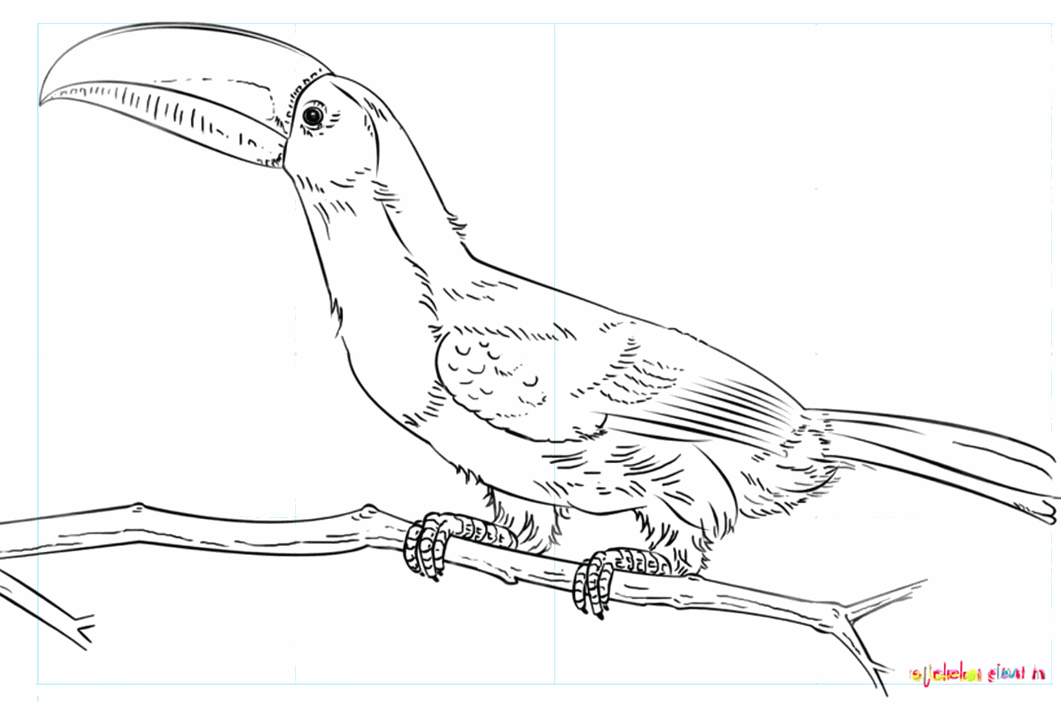 Draw a cheerful toucan with a large beak