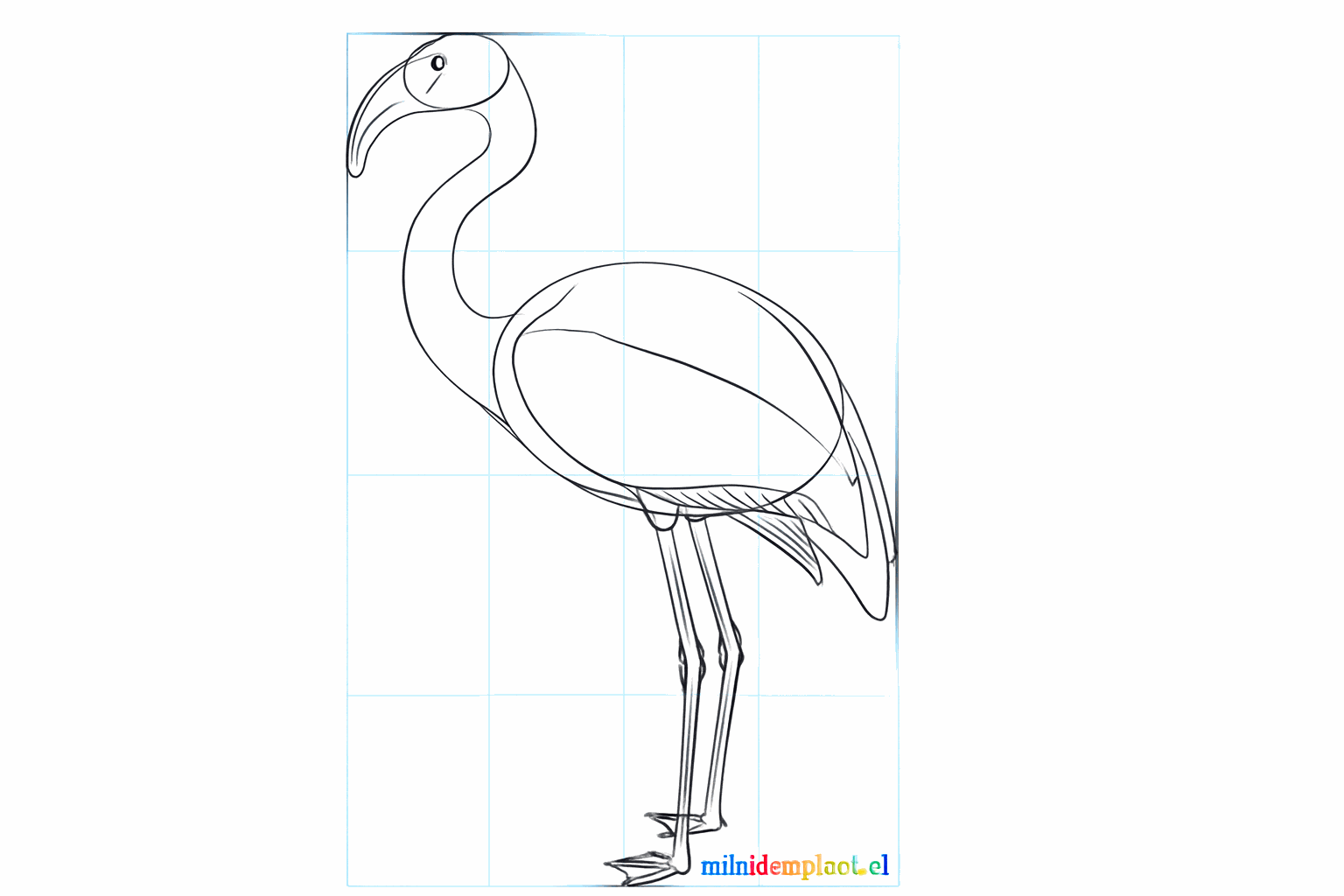 The feet of the flamingo with three toes on each leg.