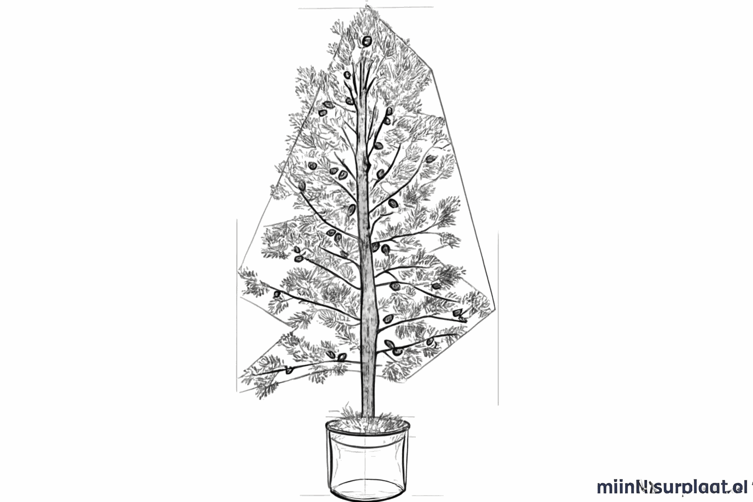 Small short lines representing the needles of the Christmas tree.