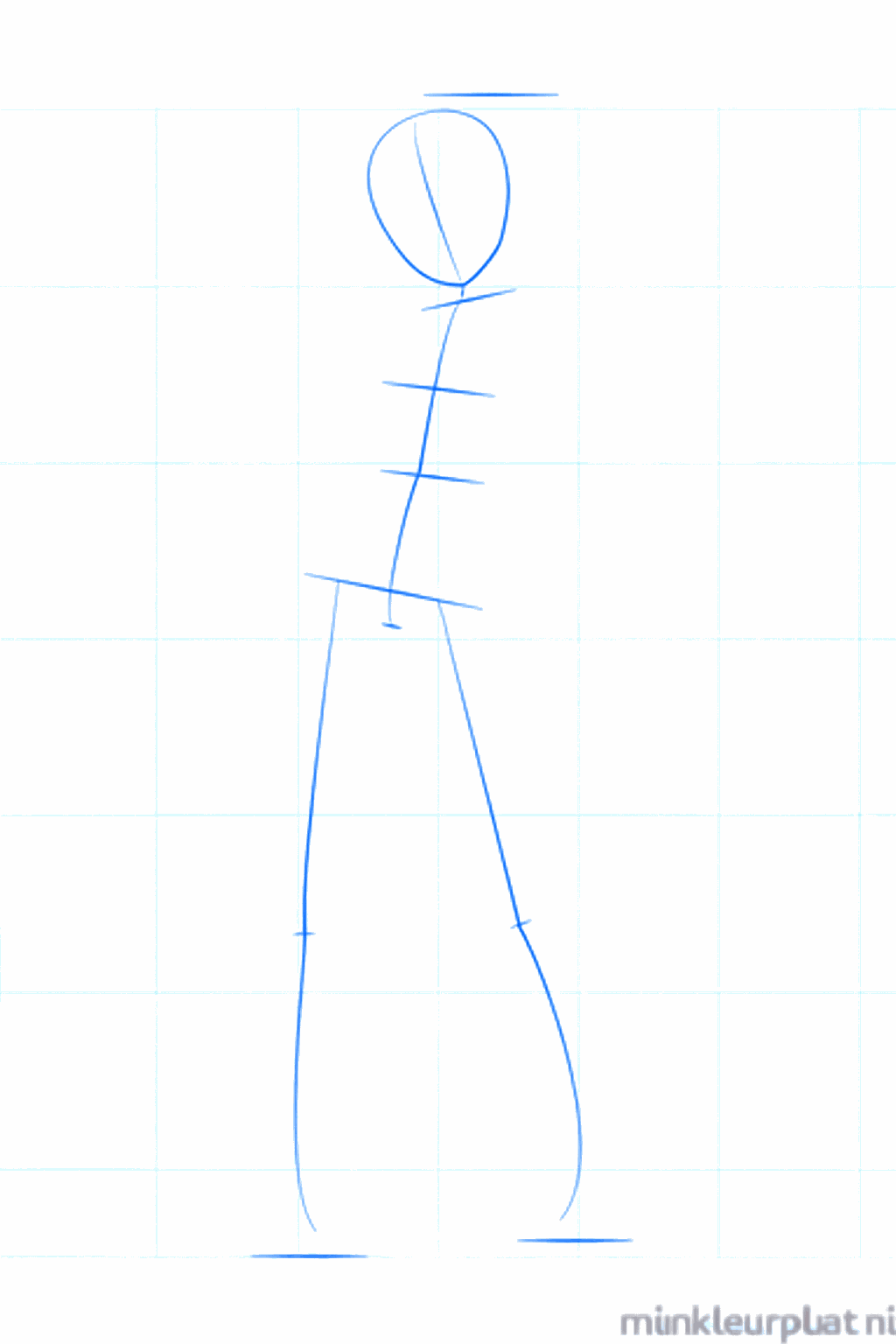 Basic shape of the head with a vertical guideline for the length.