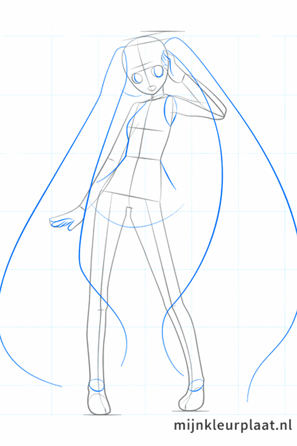 Details of the eyes and the start of the hair on the sides.