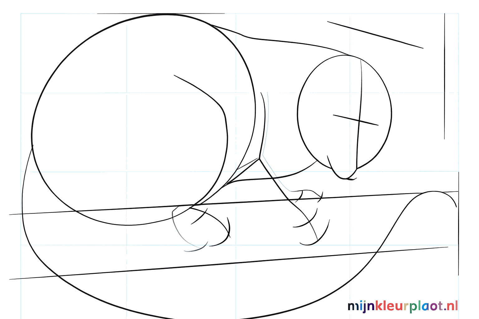 Guide lines for the face and the position of the opossum's paws.