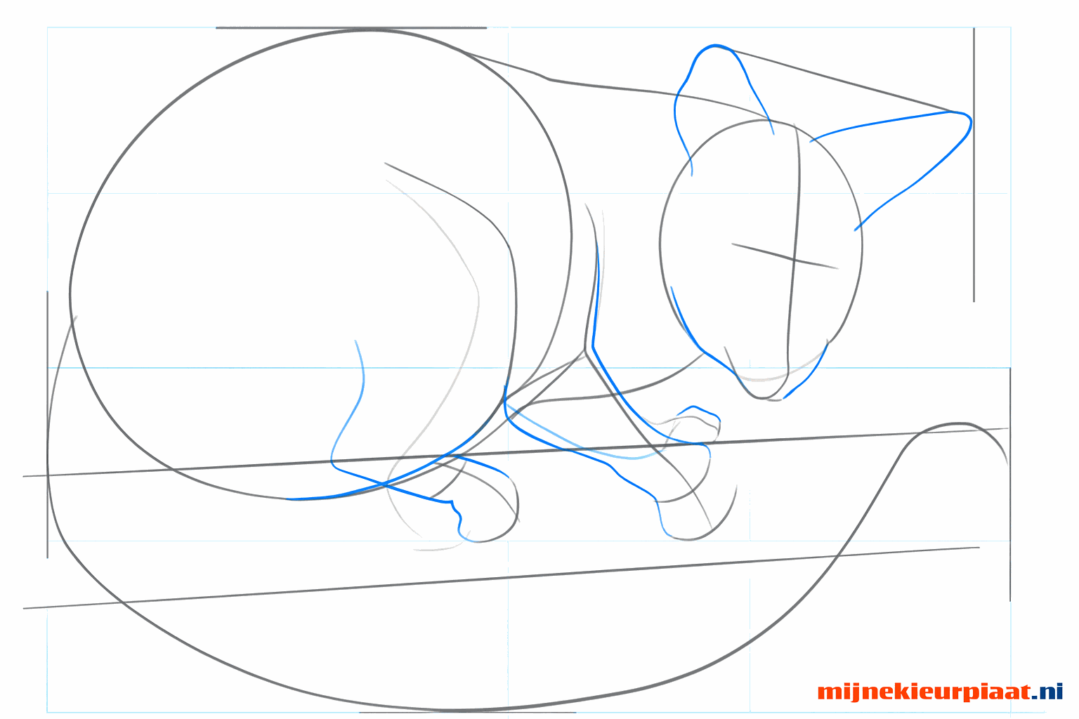 Sketch of the snout, round ears, and the start of the four paws.