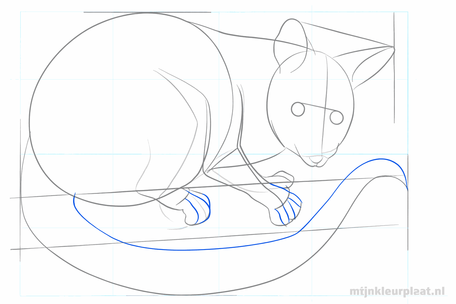 Details of the eyes, nose, and thicker lines for the paws and the tail.