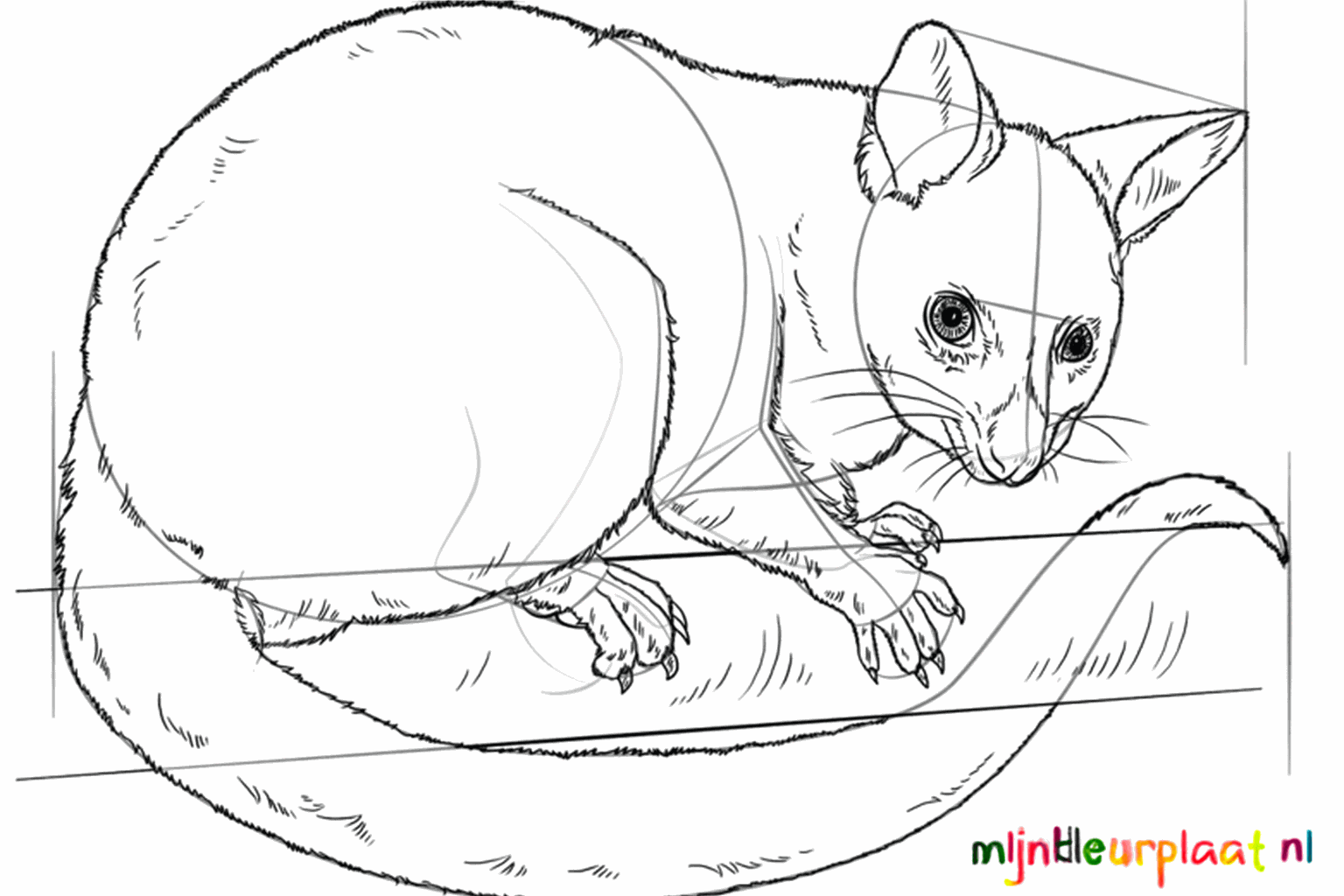 The opossum on a tree branch with small strokes for the hairy fur.