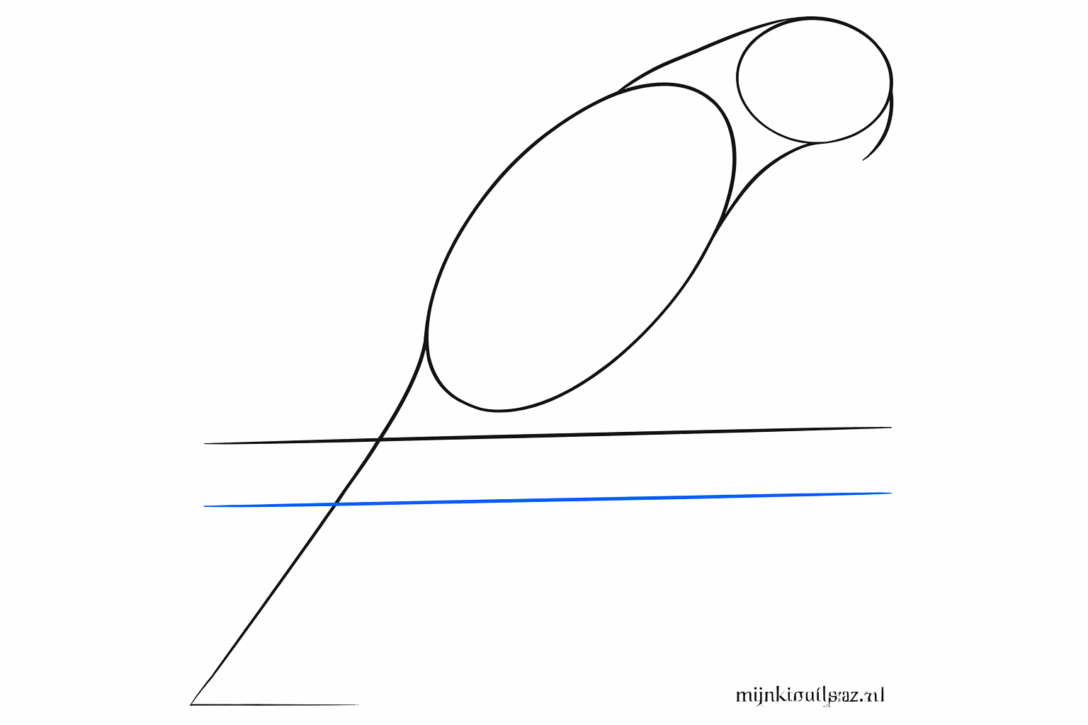 The neck lines and a horizontal line where the bird will sit.