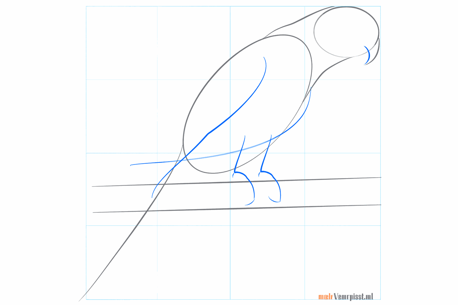 The shape of the bird becomes clearer and gets a long tail line.