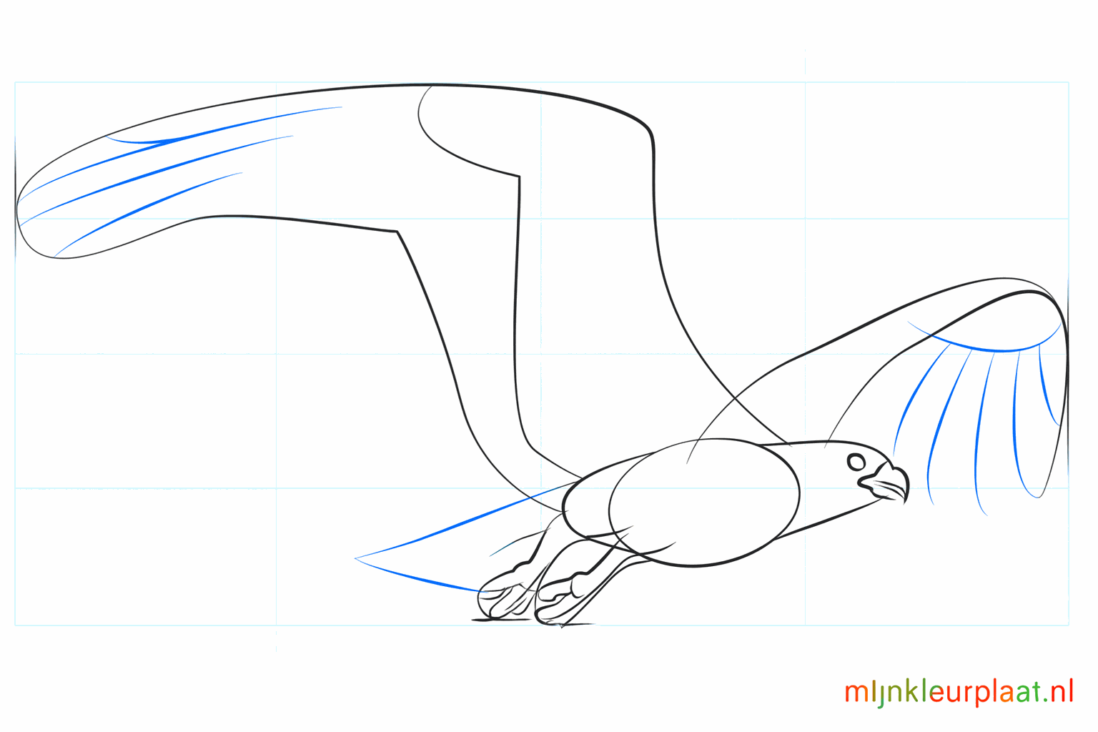 Details of the wing and the eye of the bird.