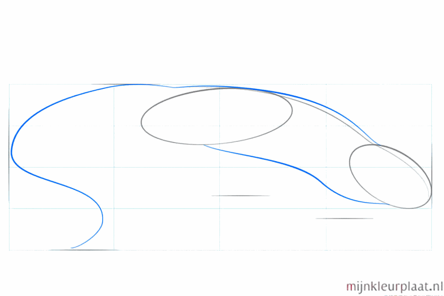 The outline of the body and neck of the salamander drawn with fluid lines.
