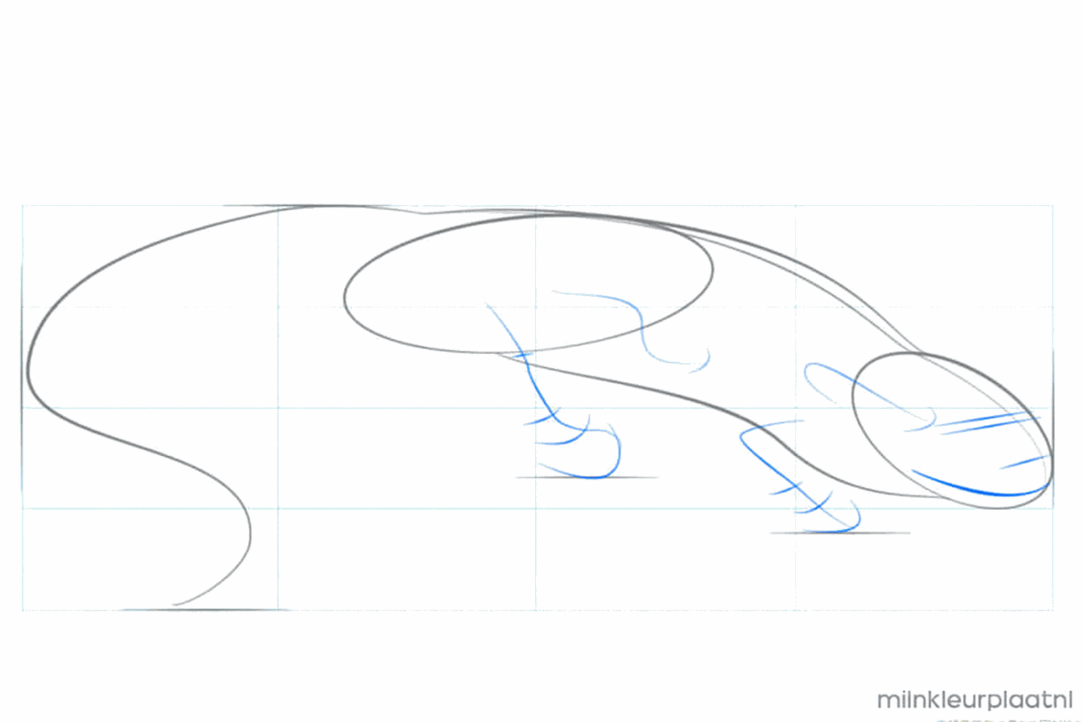 A long curved line indicating the shape of the tail.