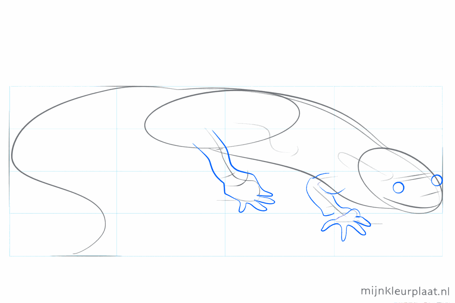 Small dashes near the body showing where the legs will be.