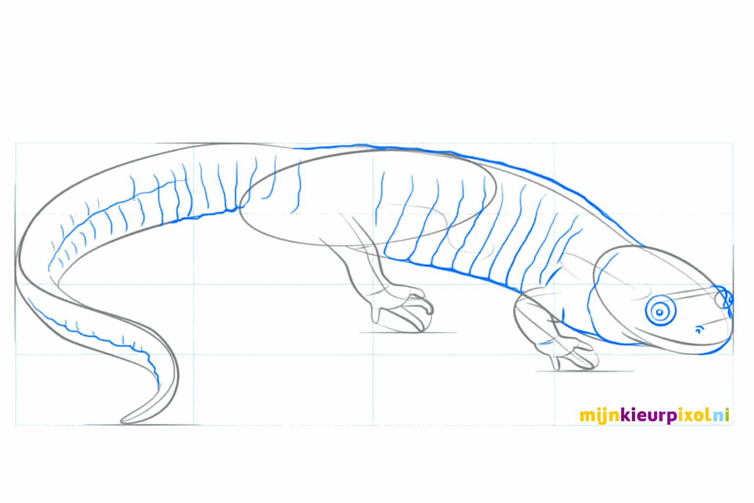 Details of the toes and a full shape for the tail.