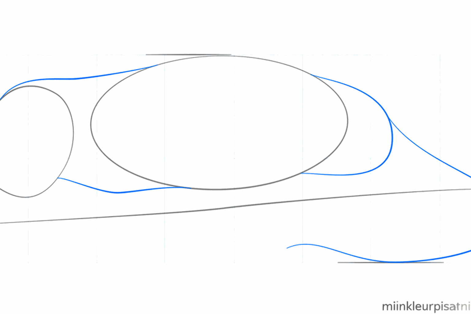 The shapes of the neck and a long curved line for the tail of the opossum.