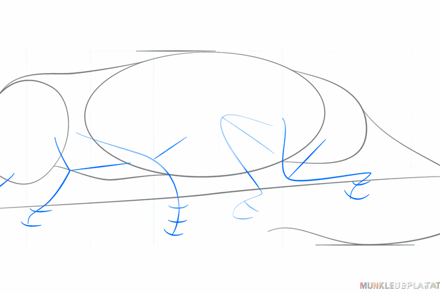 Small lines indicating the spots for the legs and the mouth.