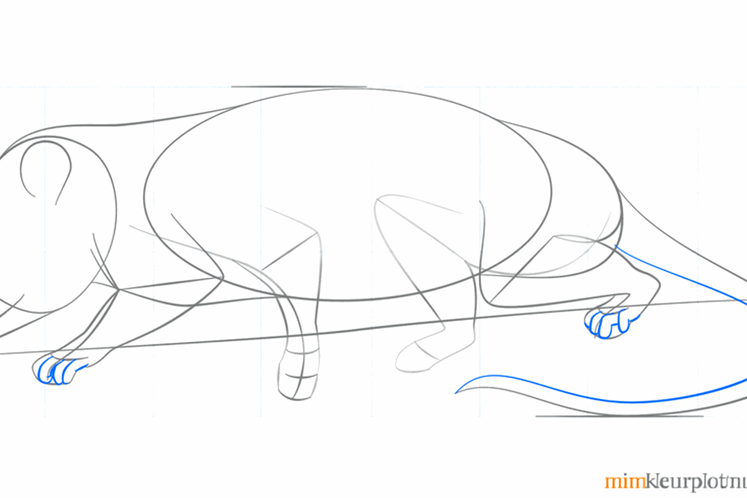 Details such as the eye, the nose, and a thicker tail are added.