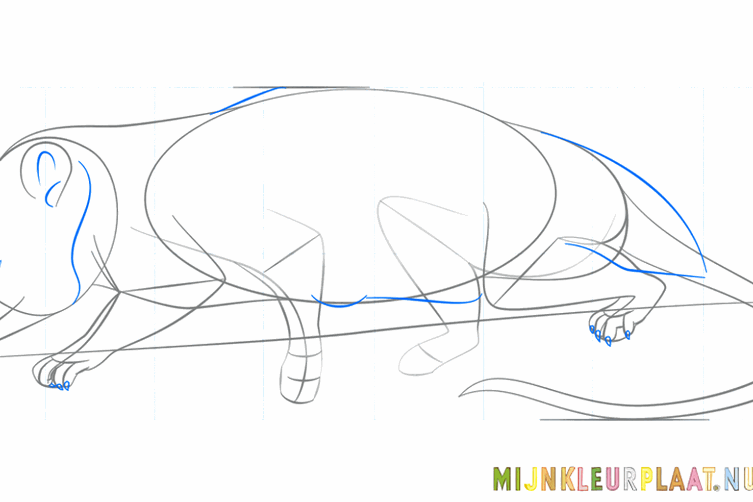 Small legs with toes at the bottom of the body.