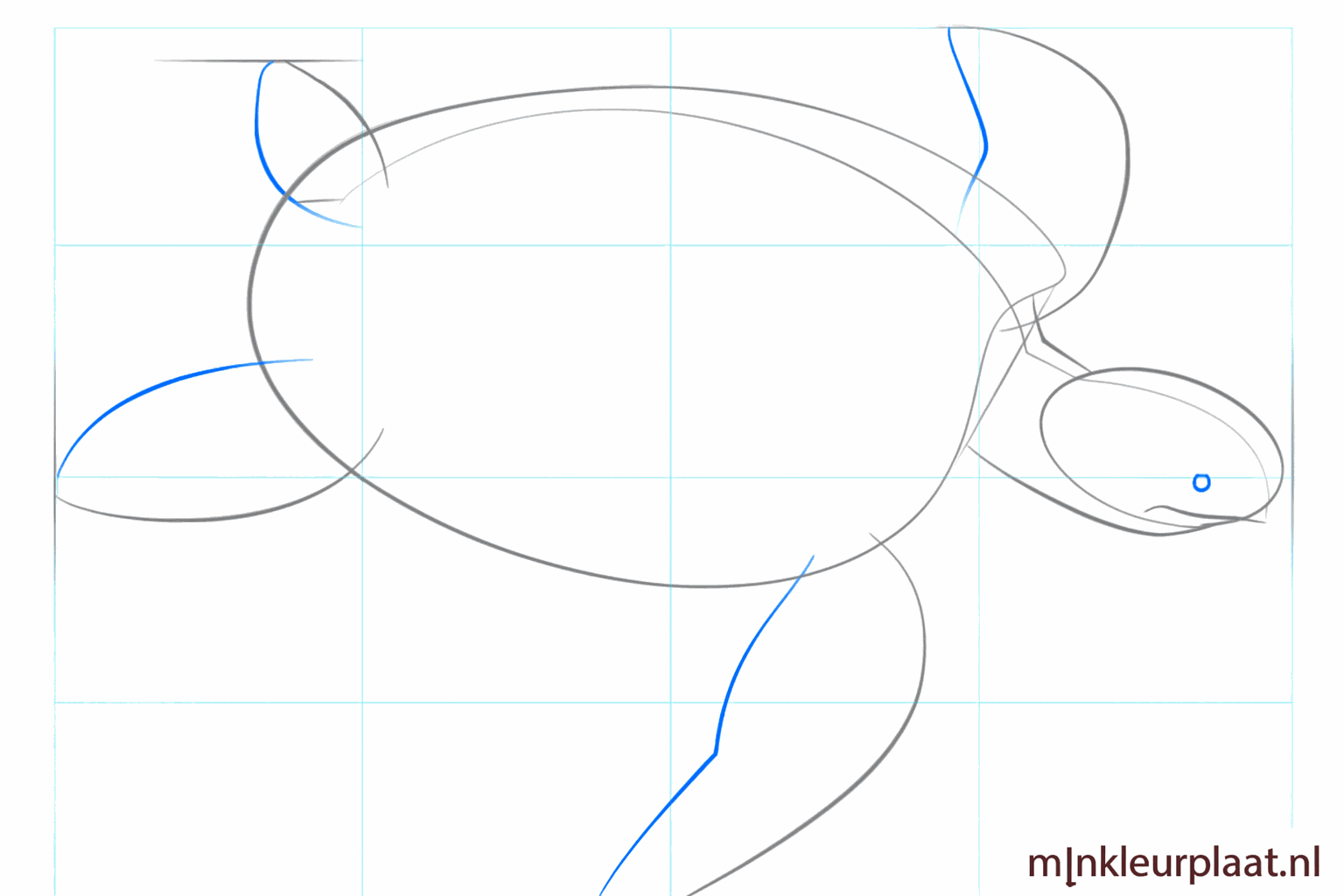 The outlines of the front legs and a small circle for the eye.