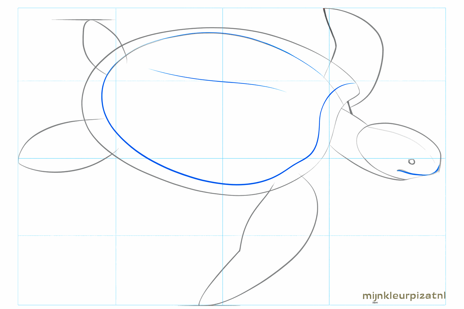 Details of the mouth and an extra line along the bottom of the shell.