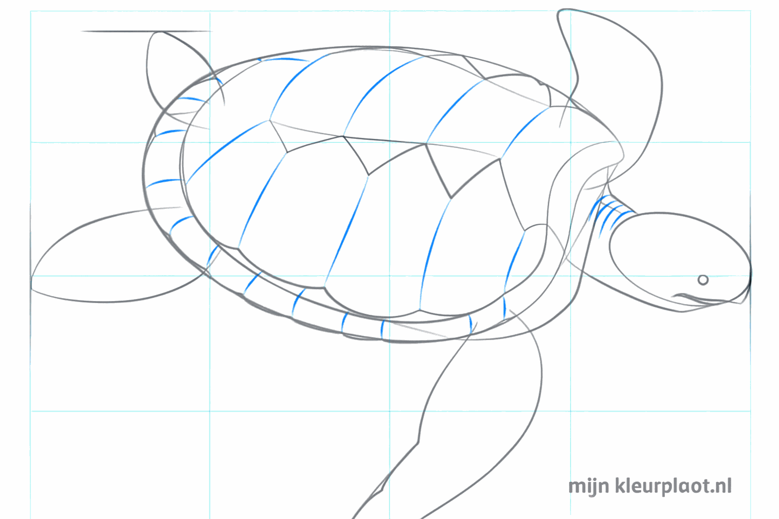 The shell gets a double edge for more depth and sturdiness.