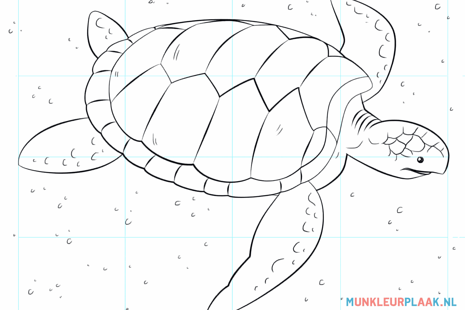 Drawing a Sea Turtle: Dive into the Deep Sea!