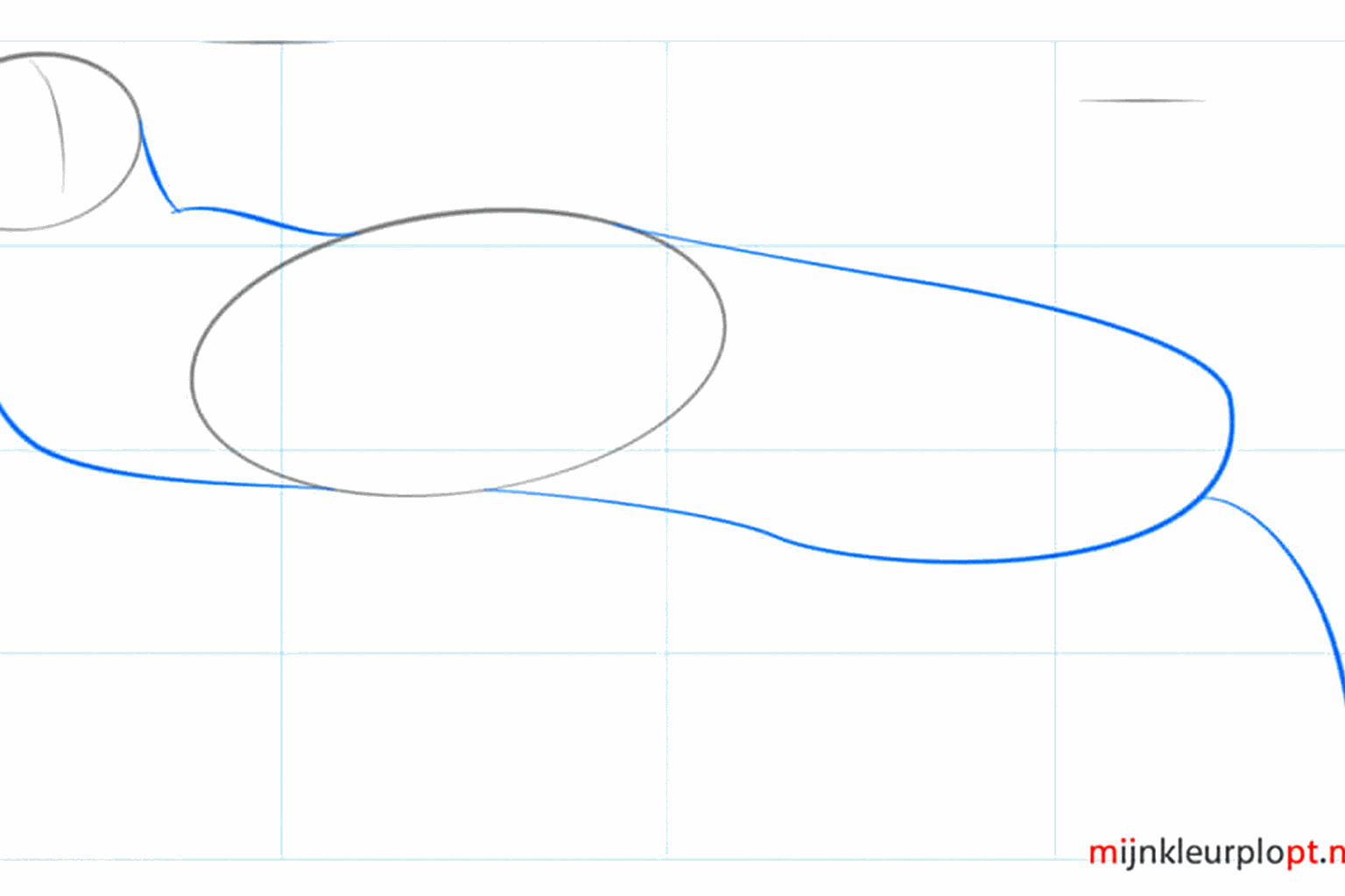 The outline of the neck and a long tail on the right side of the body.