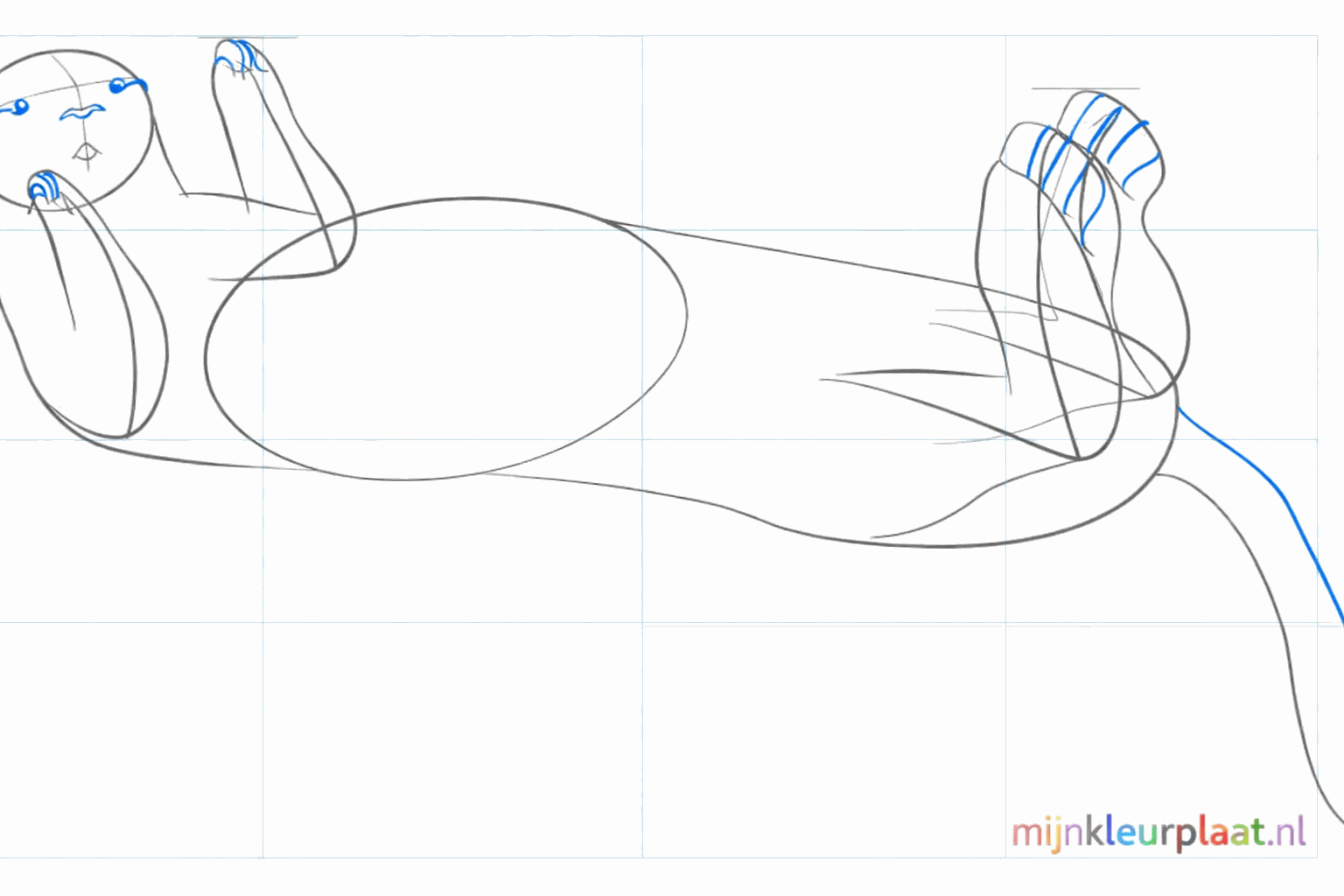 Detail of the head with a small nose and two arches for the ears.