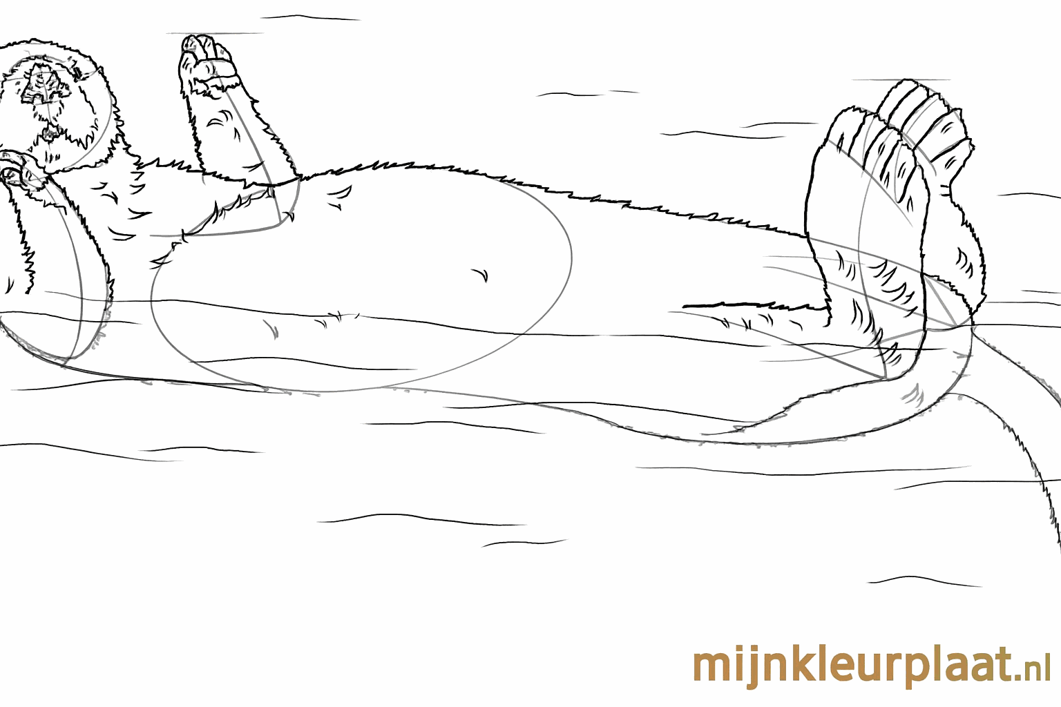 The otter gets details such as fluffy fur through small short lines.