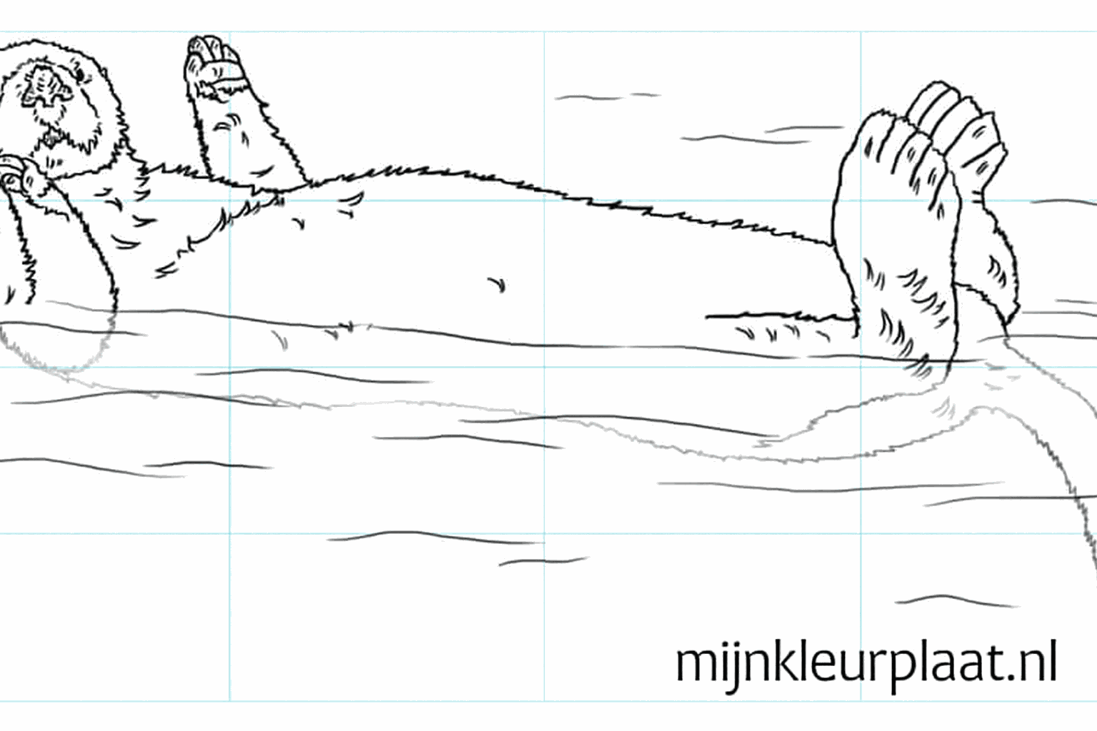 Drawing a cute sea otter
