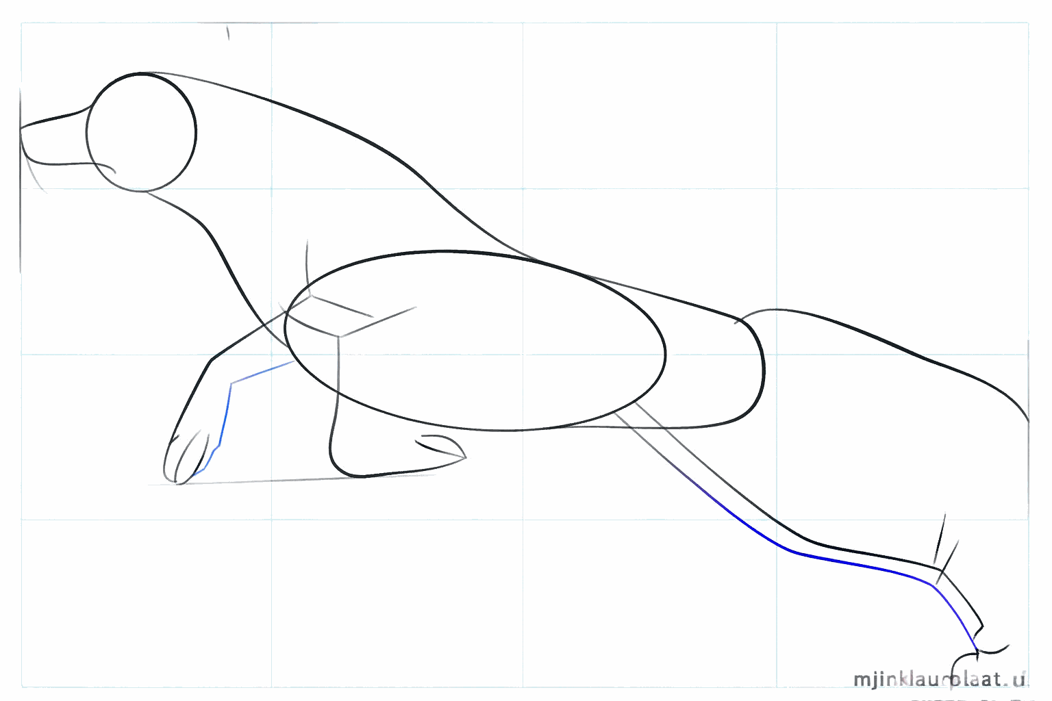 Drawing a Labrador step 3: Guide lines for the dog's four legs.