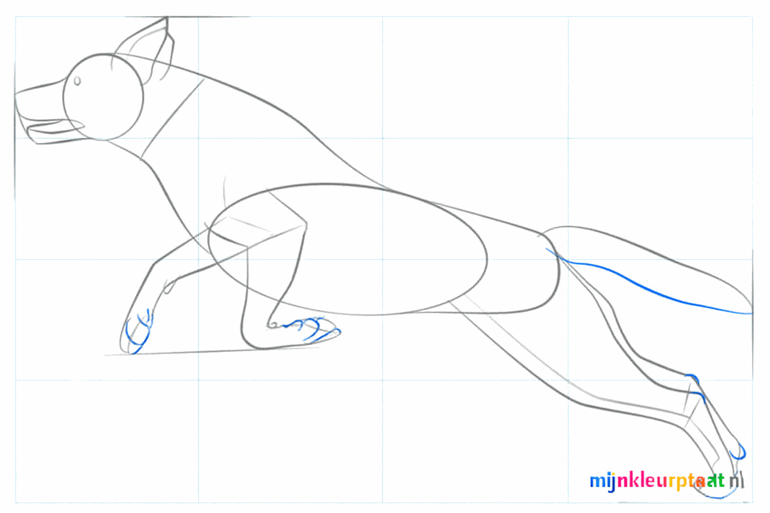 Step-by-step Labrador drawing step 5: Making the legs and tail thicker.