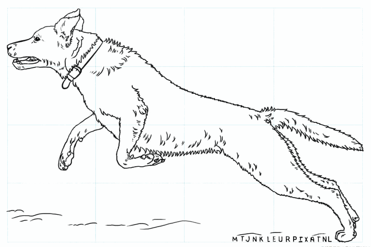 Drawing a Cheerful Labrador