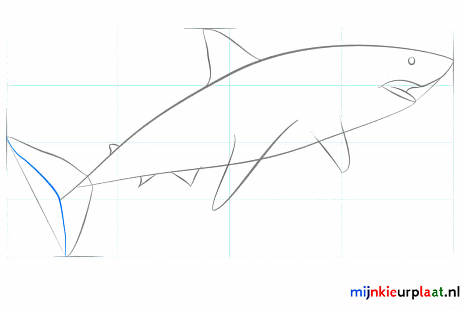 The fins and the eye of the shark taking their final shape.