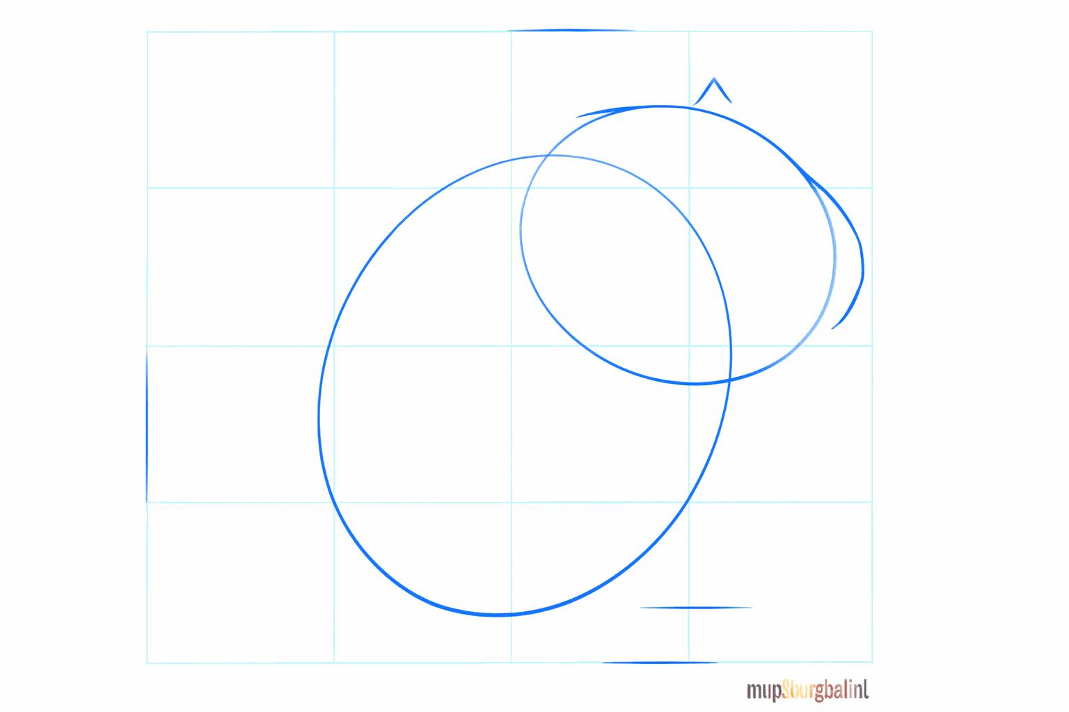 Two ovals for the base of the head and the body of the chinchilla.