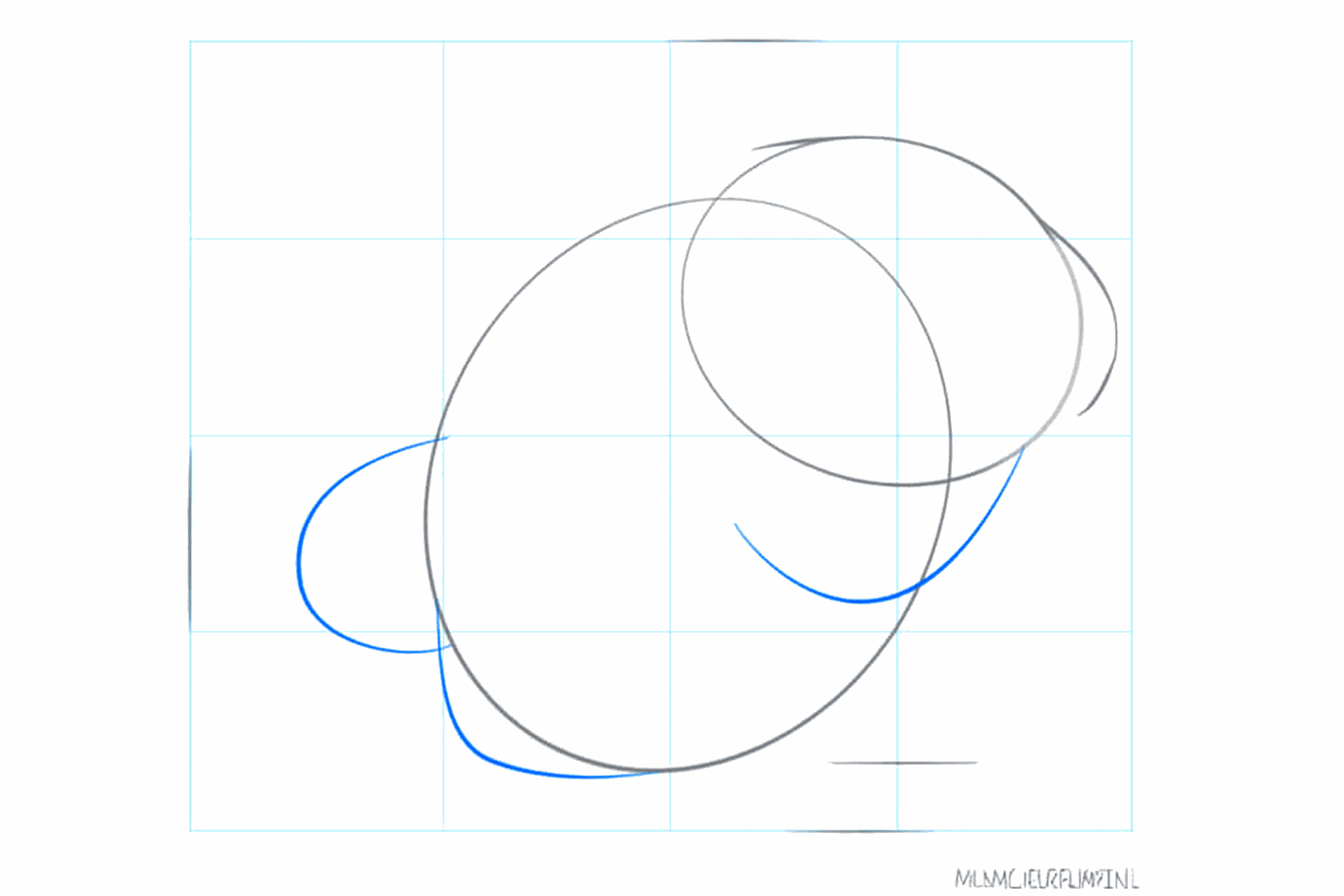 The outline of the body with a long line for the tail.