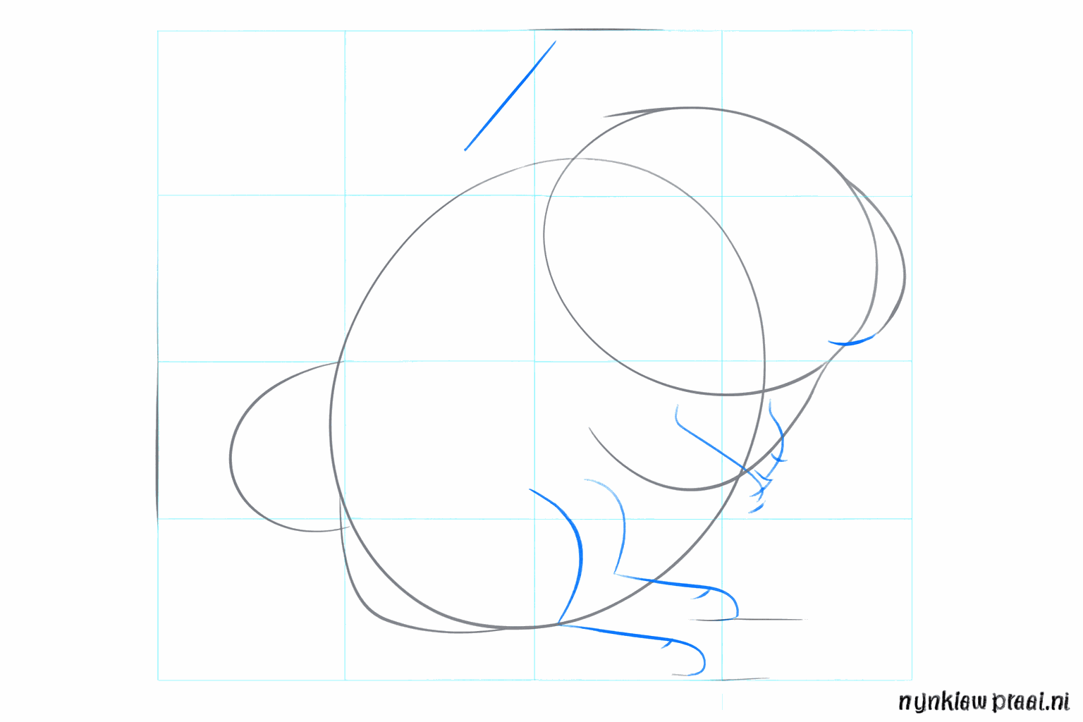 Round shapes for the ears and guide lines for the chinchilla's legs.