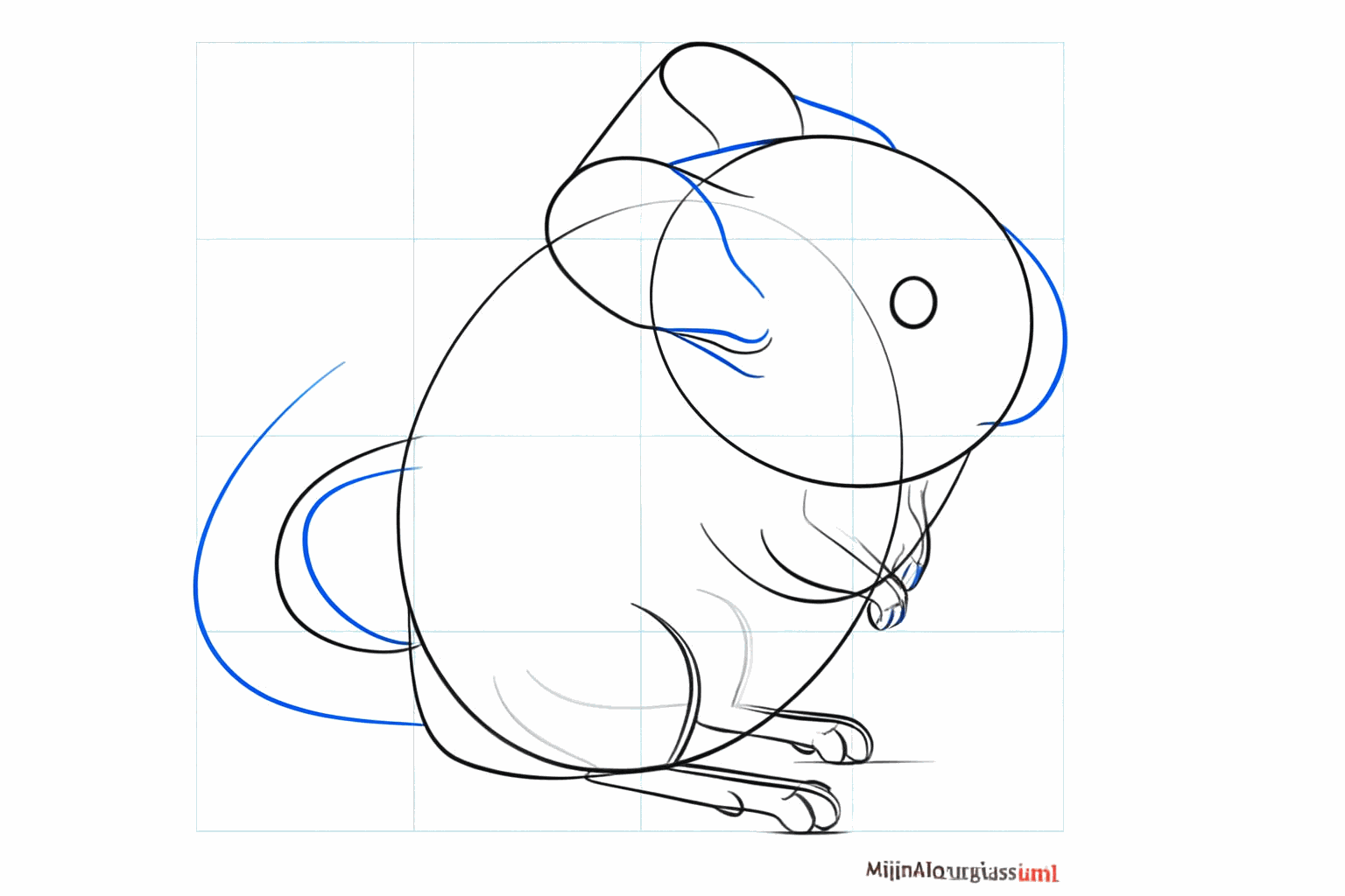 Eyes in the face and a thick tail at the back.