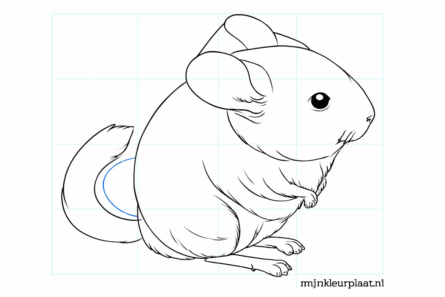 Details of the toes and the inside of the large ears.